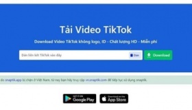 Lưu về ngay các cách tải ảnh TikTok không dính logo miễn phí