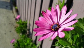 Cách làm nét hình ảnh trong Photoshop với công cụ Unsharp Mask