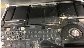 Cách xử lý trường hợp kiến chui vào laptop