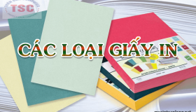 Các loại giấy in chuyên dụng được dùng với máy in
