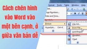 Tải ngay cách để chèn ảnh vào Word nhanh và hiệu quả nhất