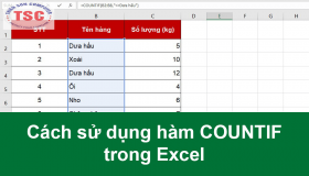 Cách sử dụng hàm COUNT trong Excel