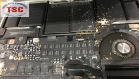 Mách nhỏ: Mẹo xử lý kiến chui vô laptop